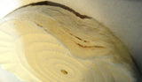 UP Buffing Wheel 8" Muslin Sewn Soft 1/2" Arbor 30 Ply x 3/8" #90022 Each