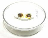 TL Incandescent Utility Accent Light Clear Sealed Plastic 2-1/2" #10202C Each