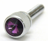 Dash Panel Screws for Kenworth Purple Jewel Chrome 1 3/4 Long UP#23818 Set of 2