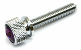 Dash Panel Screws for Kenworth Purple Jewel Chrome 1 3/4 Long UP#23818 Set of 2