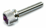 Dash Panel Screws for Kenworth Purple Jewel Chrome 1 3/4 Long UP#23818 Set of 2