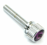 Dash Panel Screws for Kenworth Purple Jewel Chrome 1 3/4 Long UP#23818 Set of 2
