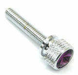 Dash Panel Screws for Kenworth Purple Jewel Chrome 1 3/4 Long UP#23818 Set of 2