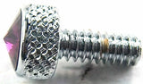 UP Dash Panel Screws for Peterbilt Purple Jewel Chrome 3/4" Tall #23835 Set of 2