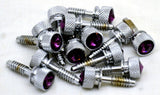 Dash Panel Screws for Peterbilt Coarse Threads Purple Jewel GG#67014 Set of 14