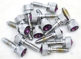 Dash Panel Screws for Peterbilt Coarse Threads Purple Jewel GG#67014 Set of 14