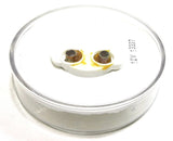 Single Bulb 2" Round Incandescent Utility Light Clear Lens Flat Sealed GG#79945