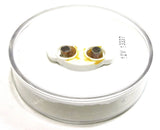 Single Bulb 2" Round Incandescent Utility Light Clear Lens Flat Sealed GG#79945