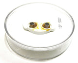 TL Incandescent Utility Accent Light Clear Sealed Plastic 2-1/2" #10202C Each