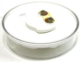 TL Incandescent Utility Accent Light Clear Sealed Plastic 2-1/2" #10202C Each