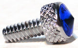 UP Dash Panel Screws for Peterbilt Blue Jewel Chrome 3/4" Tall #23832 Set of 2