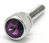 UP Dash Panel Screws for Kenworth Purple Jewel Chrome 1 3/4 Long #23818 Set of 2