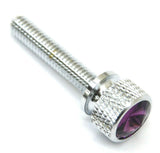 UP Dash Panel Screws for Kenworth Purple Jewel Chrome 1 3/4 Long #23818 Set of 2